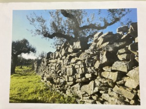 Muros de pedra seca da Serra de Aire e Candeeiros