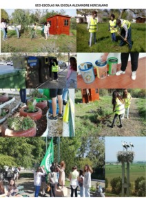 A foto pretende mostrar algumas situações de tarefas relacionadas com atividades ou desafios Eco-Escolas na nossa escola.