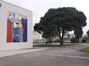 A importância ambiental do pinheiro-manso na Escola