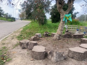 Local muito utilizado pelos alunos, debaixo do plátano, os alunos conversam, lancham, têm aulas ao ar livre e observam a horta pedagógica e biológica que fica junto ao plátano.