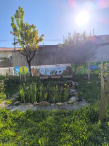 Recreio da escola, com vista do Charco Pedagógico.