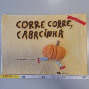 Aspeto geral do trabalho.