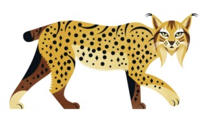 Sou o Lince-Ibérico - O Felino Mais Ameaçado do Mundo
