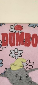 pormenor das letras do titulo do nosso livro